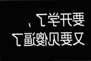 揭秘娱乐圈“妮妮”与“凤姐”：从神秘网红到全民话题的时间线回顾